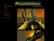 Tablet Screenshot of cosmicdarkroom.com